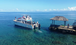 Dive Fiji - Paradise Taveuni 11-20 August 2024